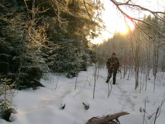 ������� � ����������