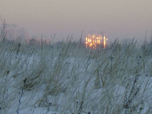 ����� ������