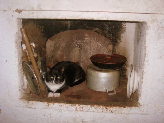 ��������-�����