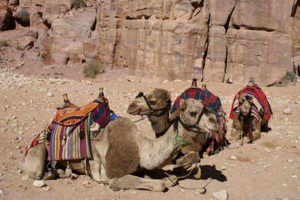 ��� �������� �� ������