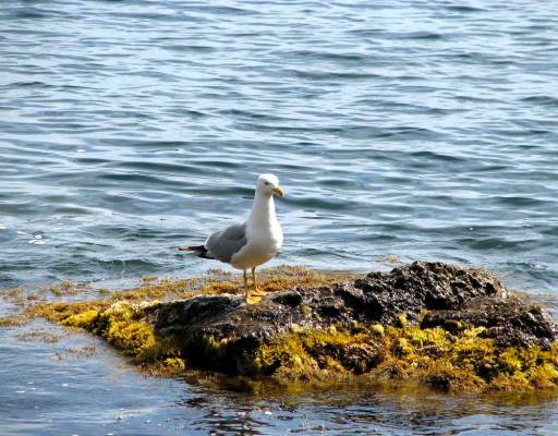 ������...