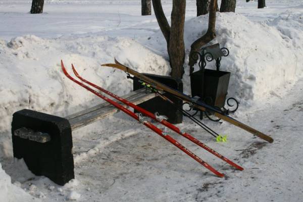 �������� ����