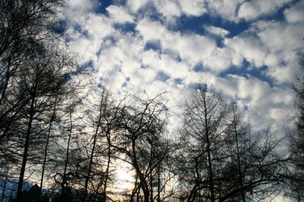 �������� ����