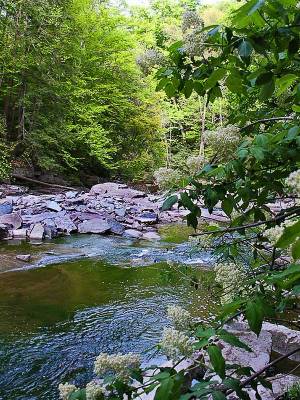 �������� ��� �������