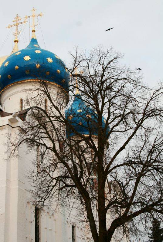 ��������� �����