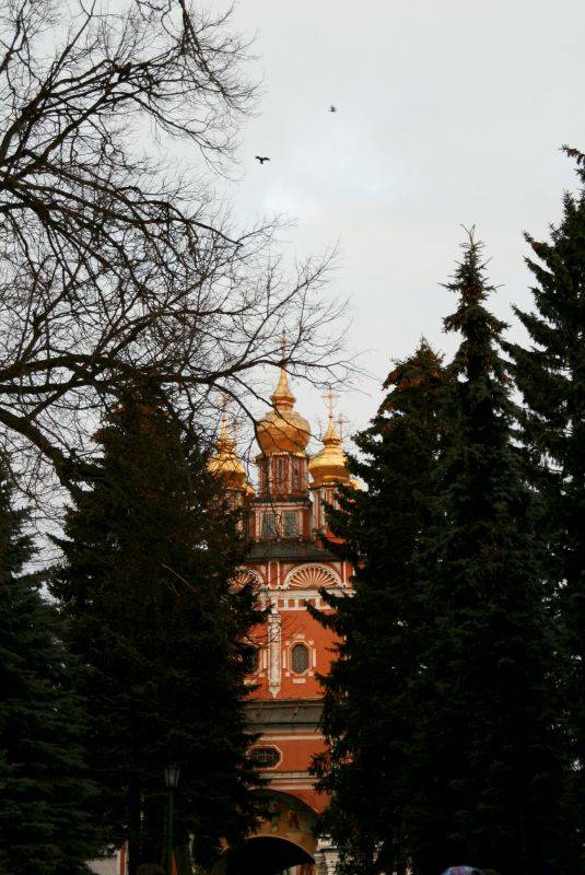 ���������� �������