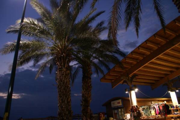 ������ �������