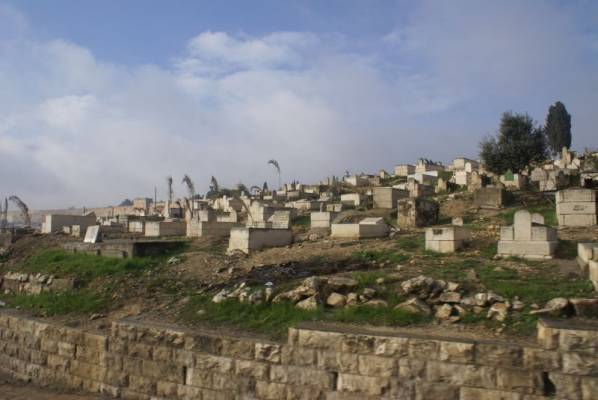 ������������� ��������