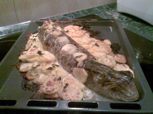 ������������ ����