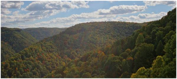 ����� � �����