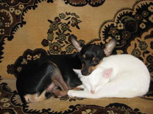 ����������