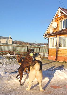 ��.������