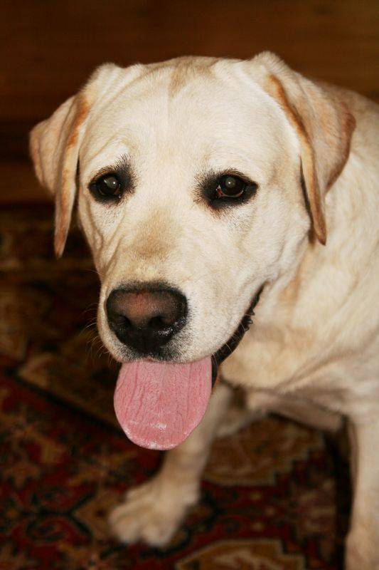 �������, � ����� ���� ����� ������?