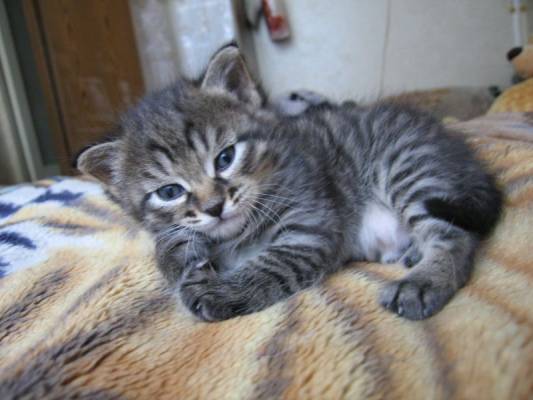 �������2