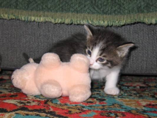 ���� � �����