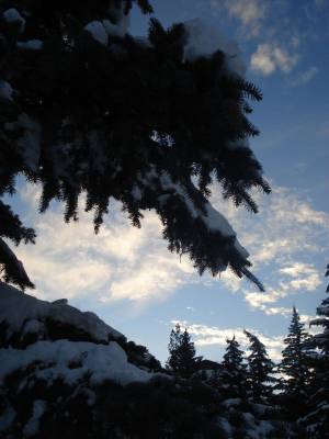 Armenia