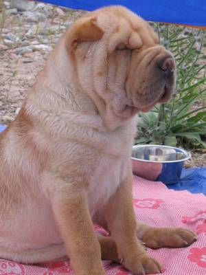 �� ������