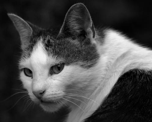 ..���� ����������, �� ��������� �� �