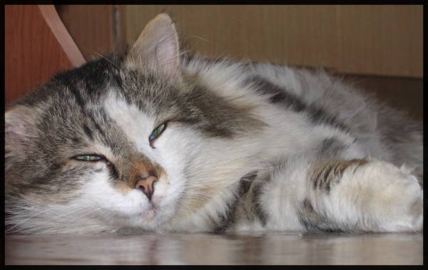 ���������� ������