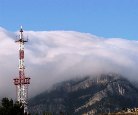 ��� ������ ����