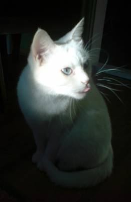 � ��� ��� ������...