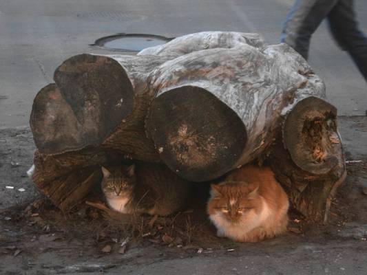 �� � ������