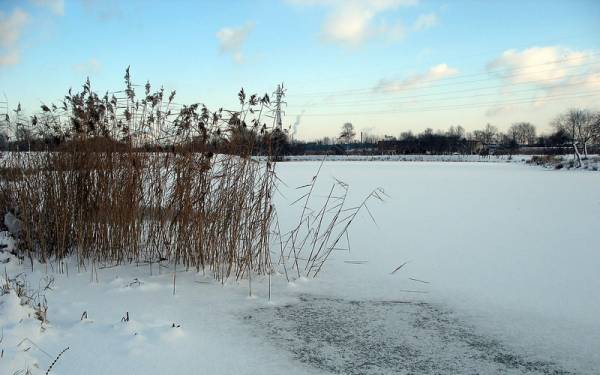 ��������� ������