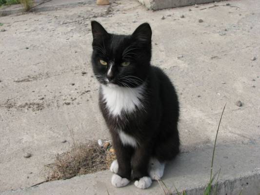 ������� ������