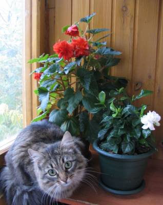 �������