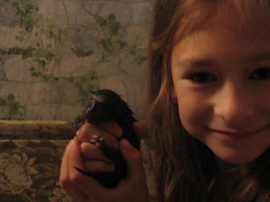 ������ �������