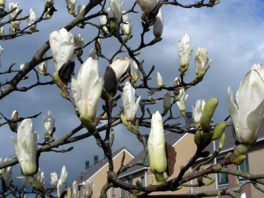 �������� ������