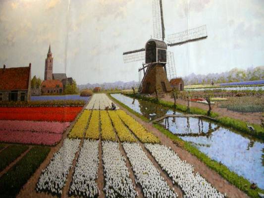 ��������- �������� � ������ ���������