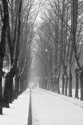 ��� ����� ��� � ��� �����...