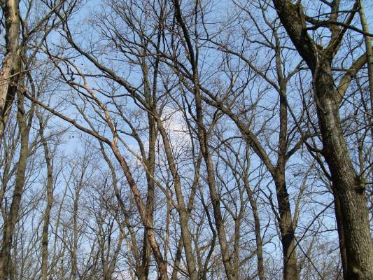 ���� - �������