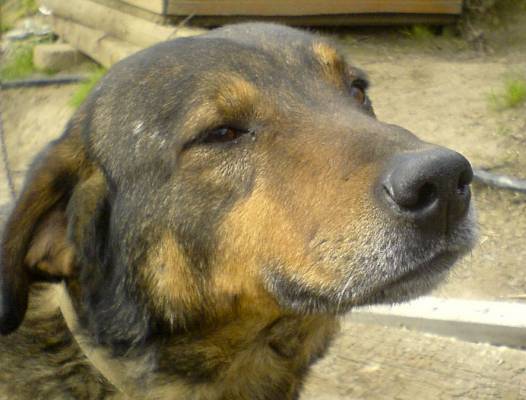 ������ � ������, �� � ����� �����  