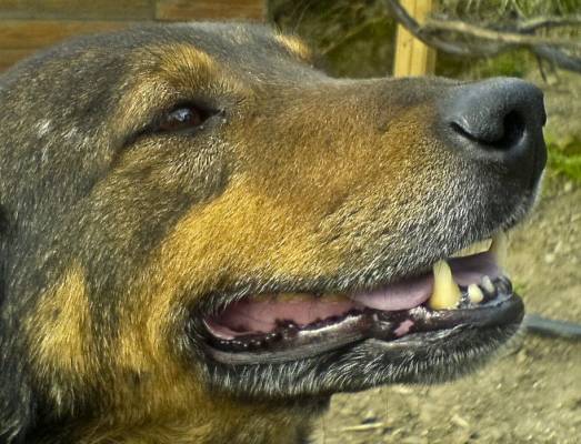 ��������� ��� ������� ���������� ����