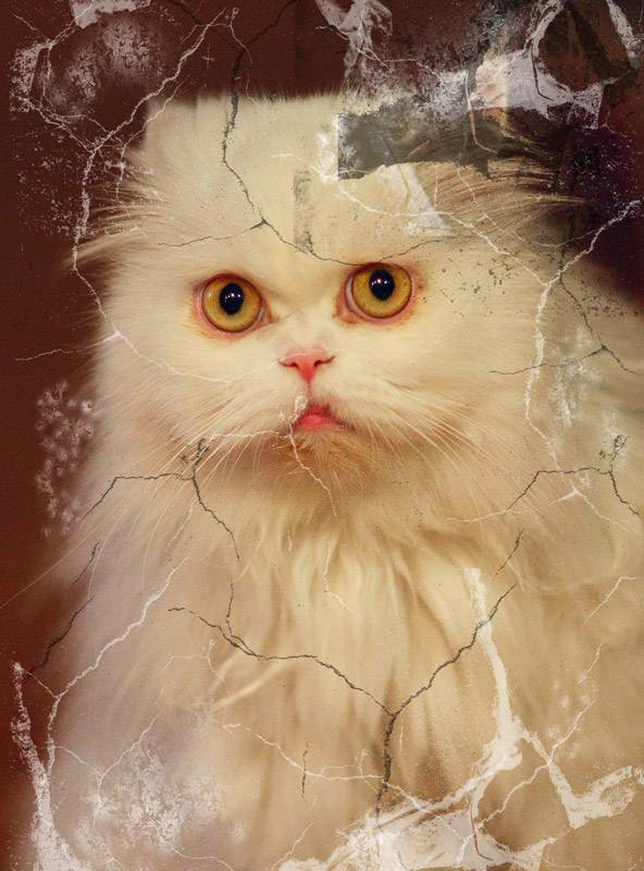 ��� �� �!