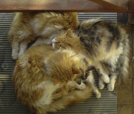 �������� ������! 