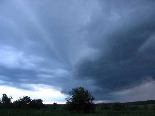 ���� ��������� ���������