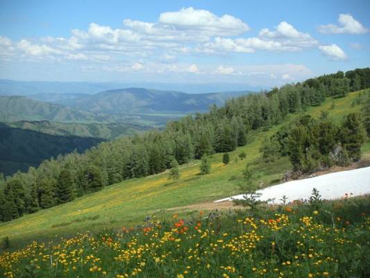 �����- �����