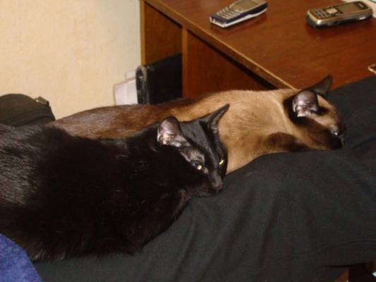 ���� � ����