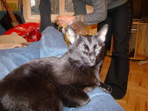 ���� - ������