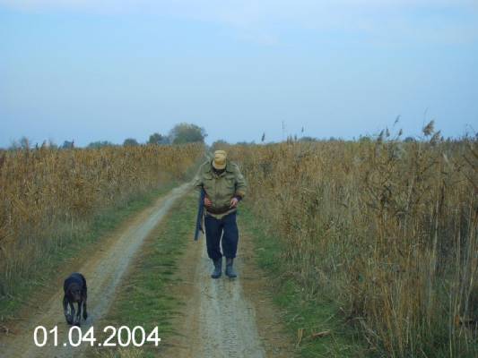 ������....