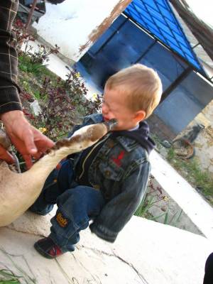 ����� ����� ���� ���������(((