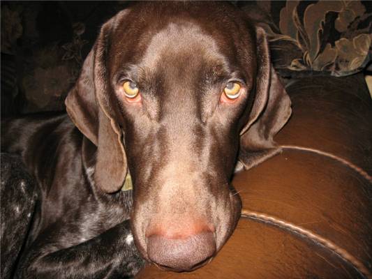 �������. ����� �������!