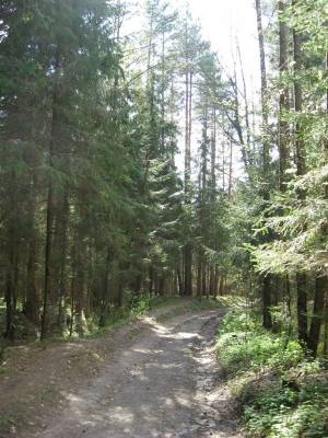 ������ � ���������