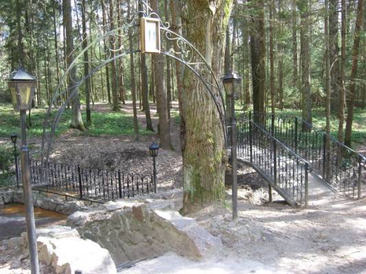 ���� � ���������