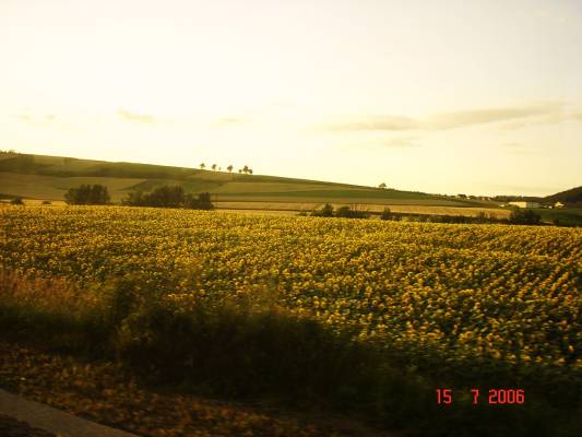 ����������.