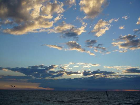 �������� ����