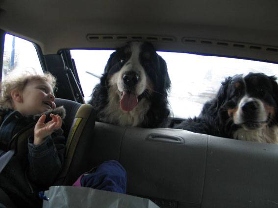 ������ 1